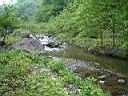 2006-05-30 005.JPG